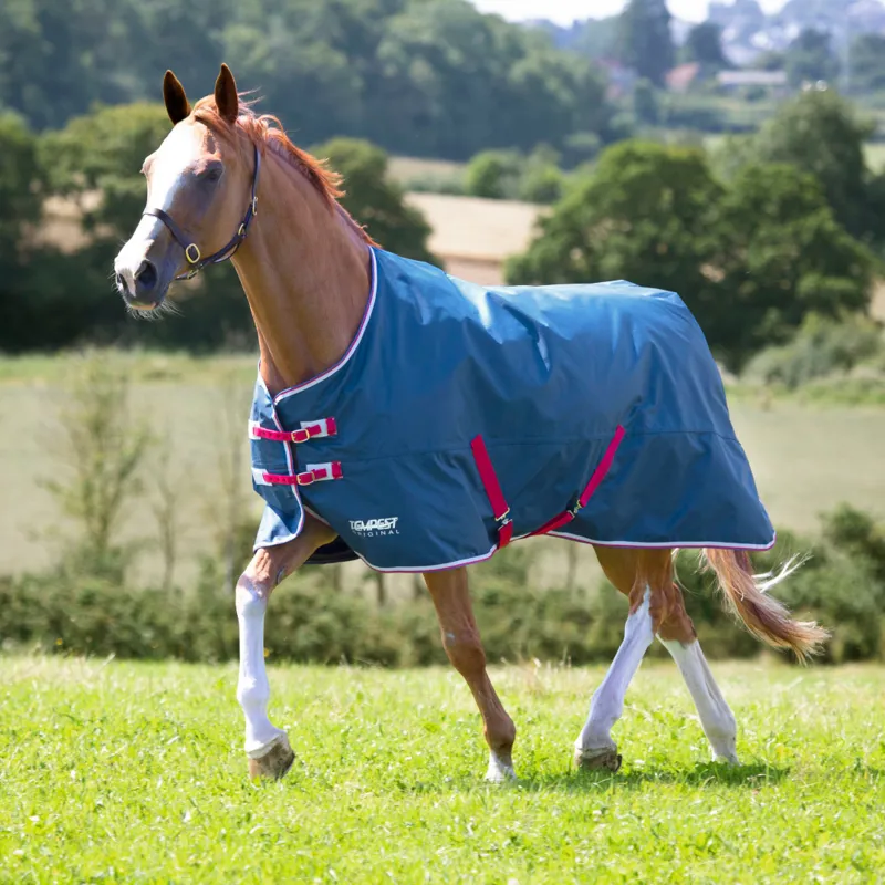 Shires Tempest Original Lite Turnout Rug Teal